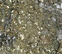 Pyrite On Calcite - El Hammam Mine, Morocco #80730-2